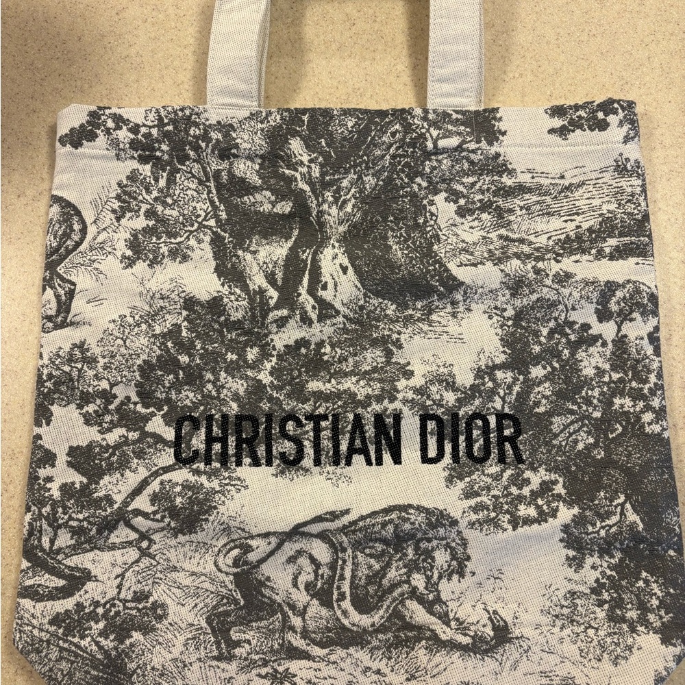 Dior Graphic Tote Bag Beautiful 💗